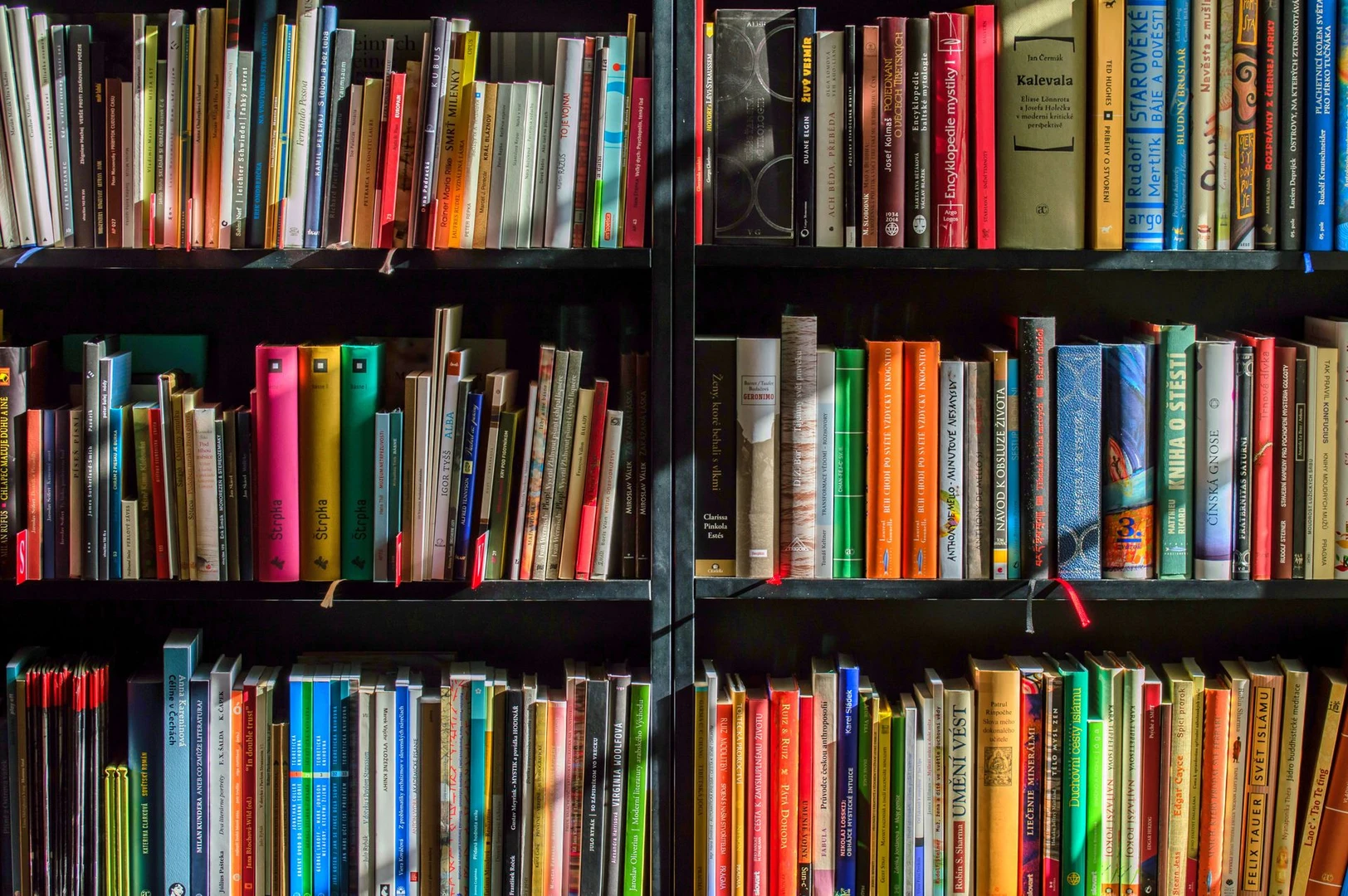 Livraria Página